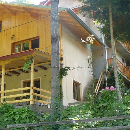 Mountain Sun Guest House Chiflik Buitenkant foto