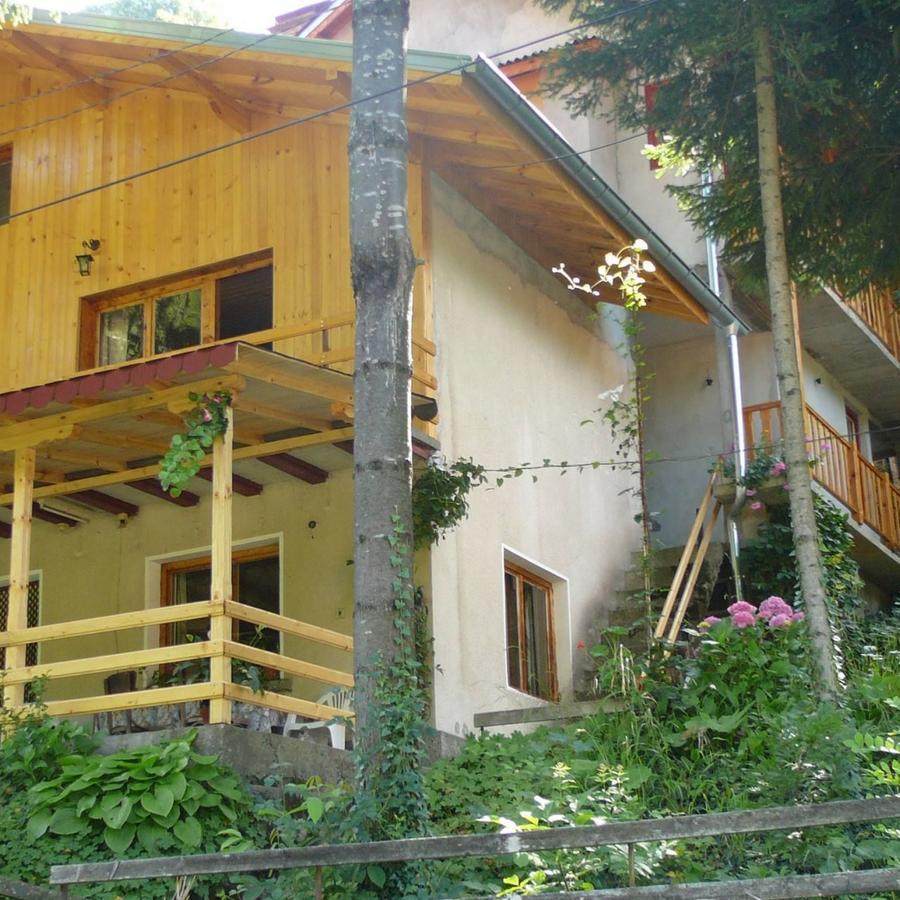 Mountain Sun Guest House Chiflik Buitenkant foto